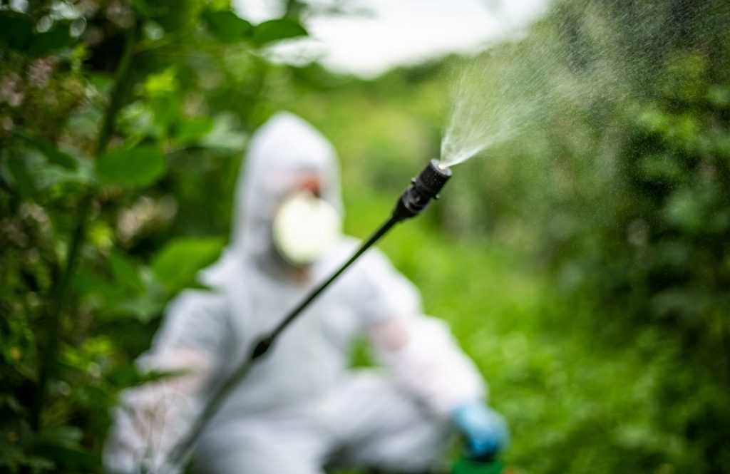 Existiría riesgo de cáncer por exposición a pesticidas en los alimentos